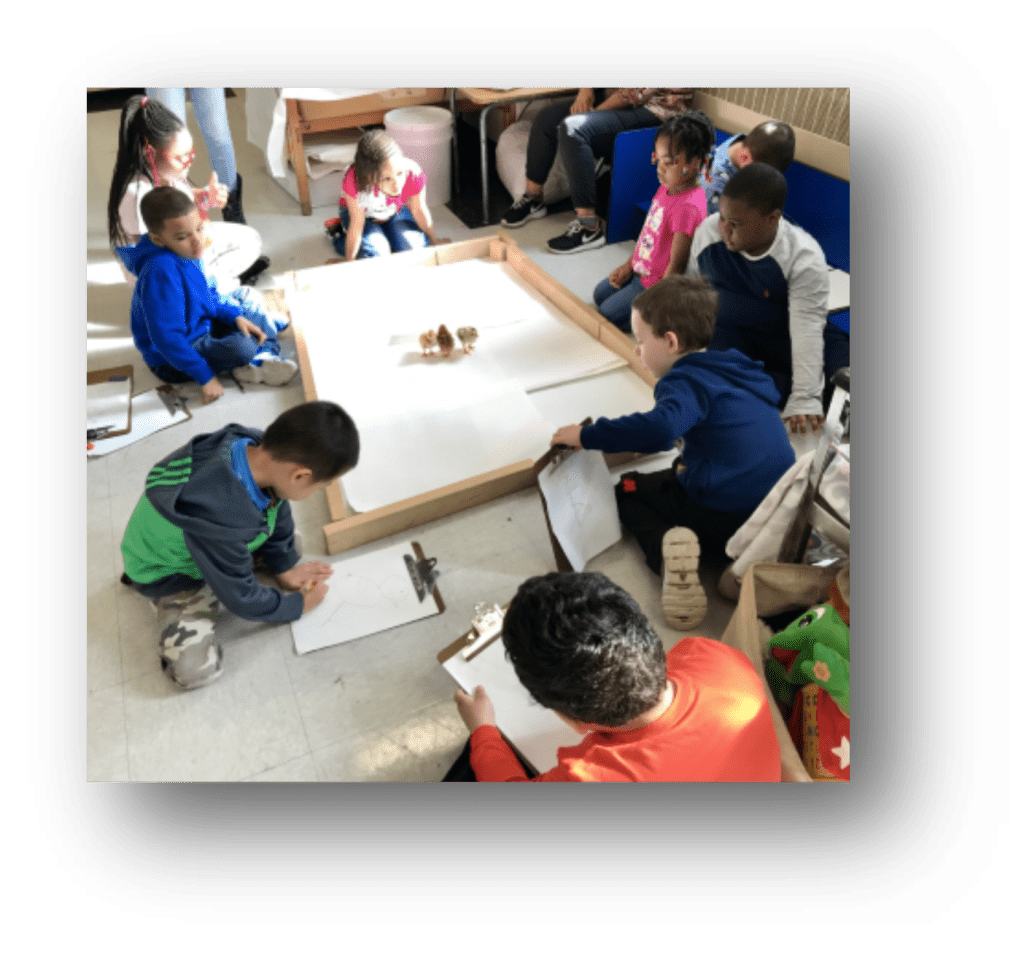 Kindergarten class drawing